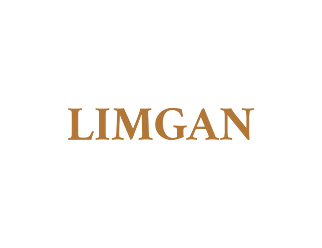 Transform Your Daycare’s Online Presence with Limgan